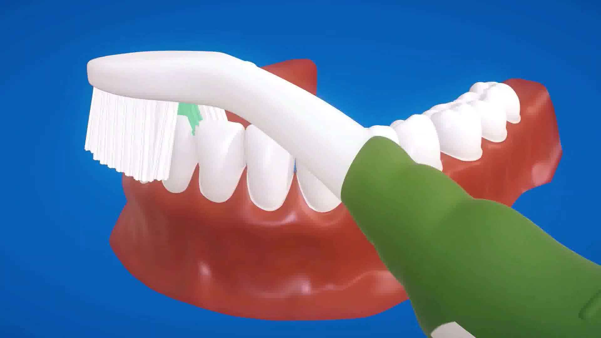 Groove Toothbrush Ergonomic Arch & Handle Sweep