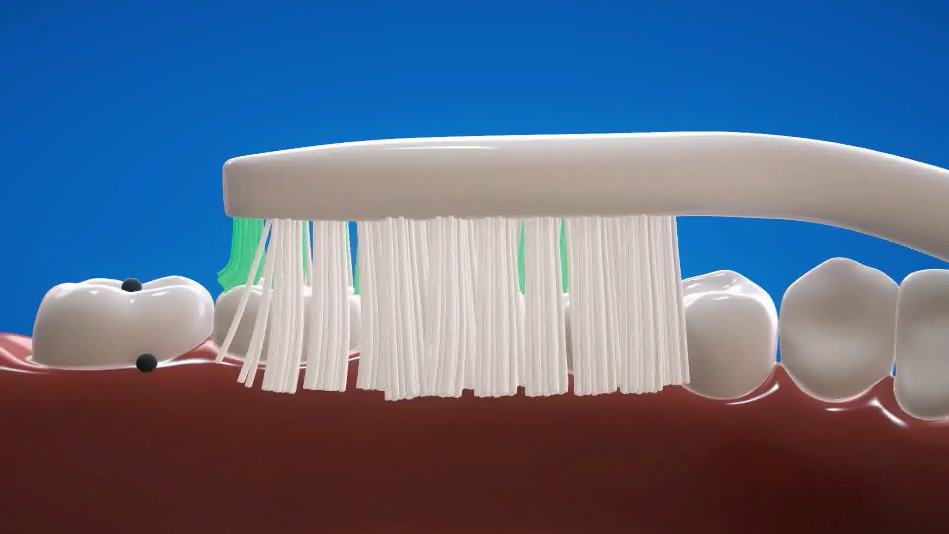Groove Toothbrush Bi-Level Anatomical Groove Profile